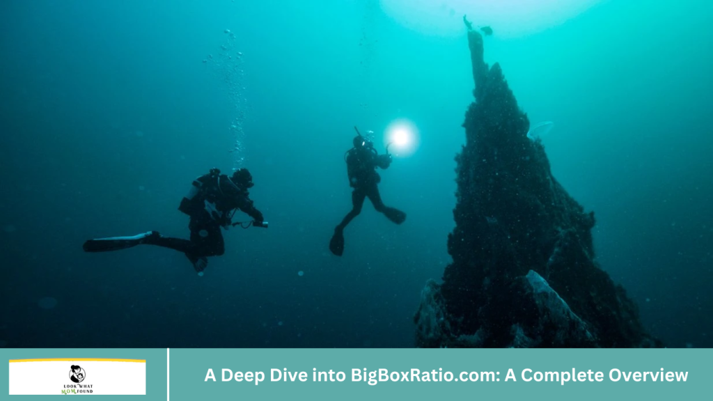 A Deep Dive into BigBoxRatio.com: A Complete Overview