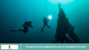 A Deep Dive into BigBoxRatio.com: A Complete Overview